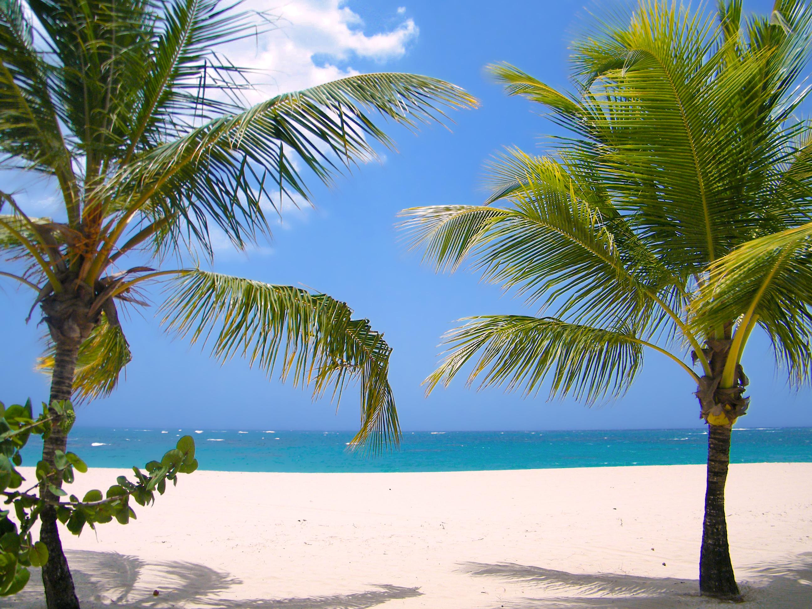 Viva Heavens By Wyndham, A Trademark All Inclusive (Adults Only) Puerto Plata Eksteriør bilde